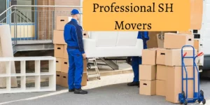 professional sh movers