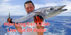 how long can a fish live out of water (1)