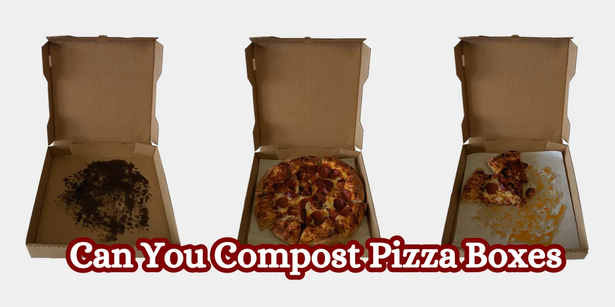 Can You Compost Pizza Boxes