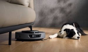 Robot Vacuum for Carpet Suction Power vs. Brush Roll Efficiency